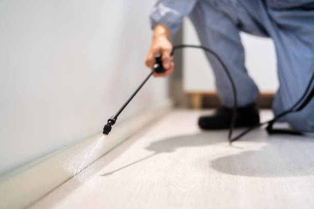 Pest Control Cost in Ontario, OR