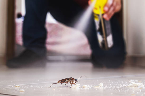 Ontario, OR Pest Control Company